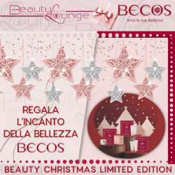 Beauty Christmas Becos