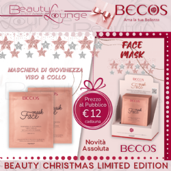 Beauty Christmas Becos