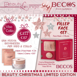 Beauty Christmas Becos