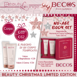 Beauty Christmas Becos