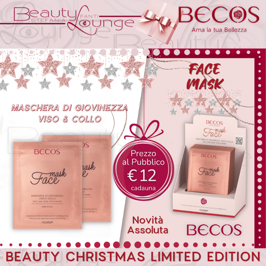 Beauty Christmas Becos